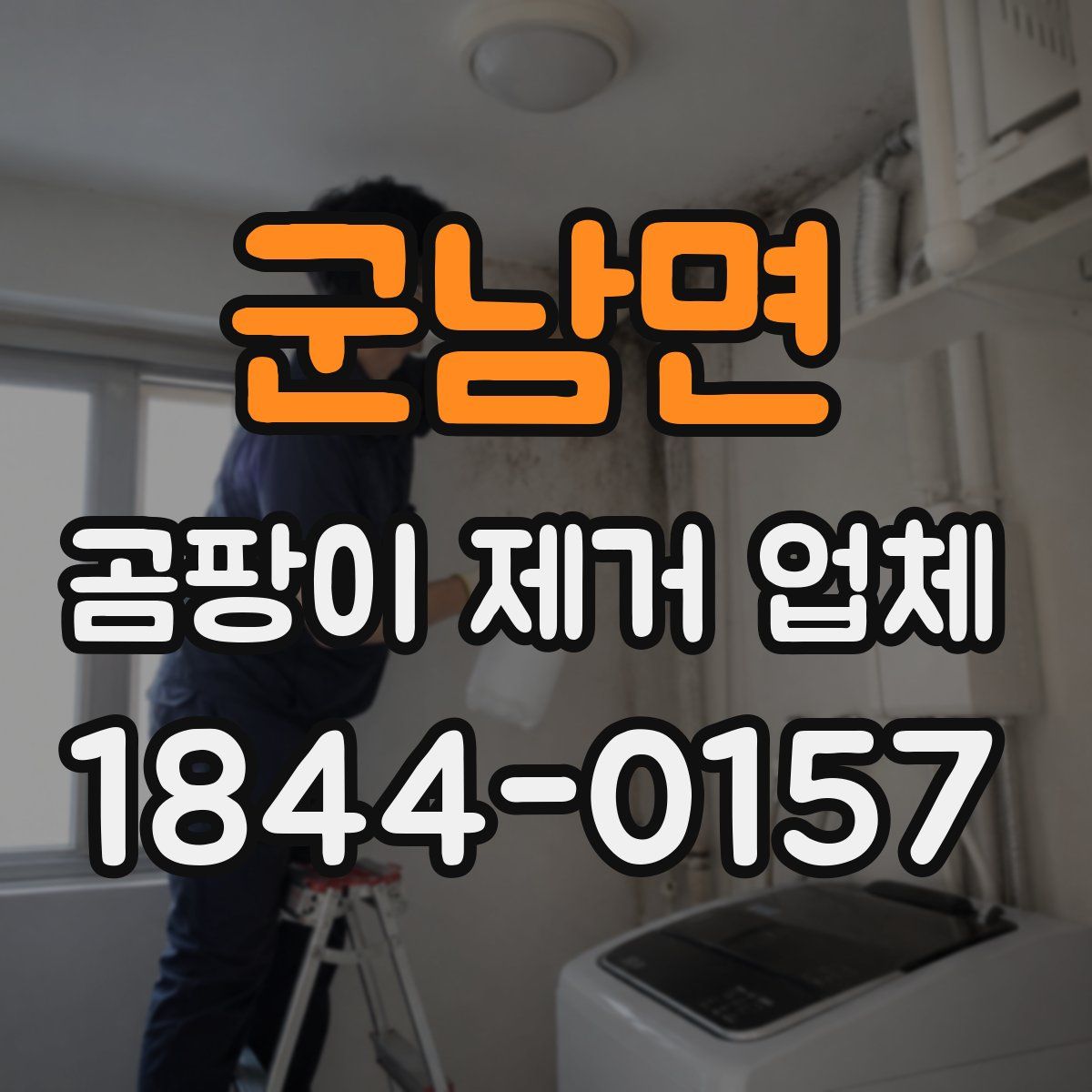 군남면 곰팡이 제거 업체