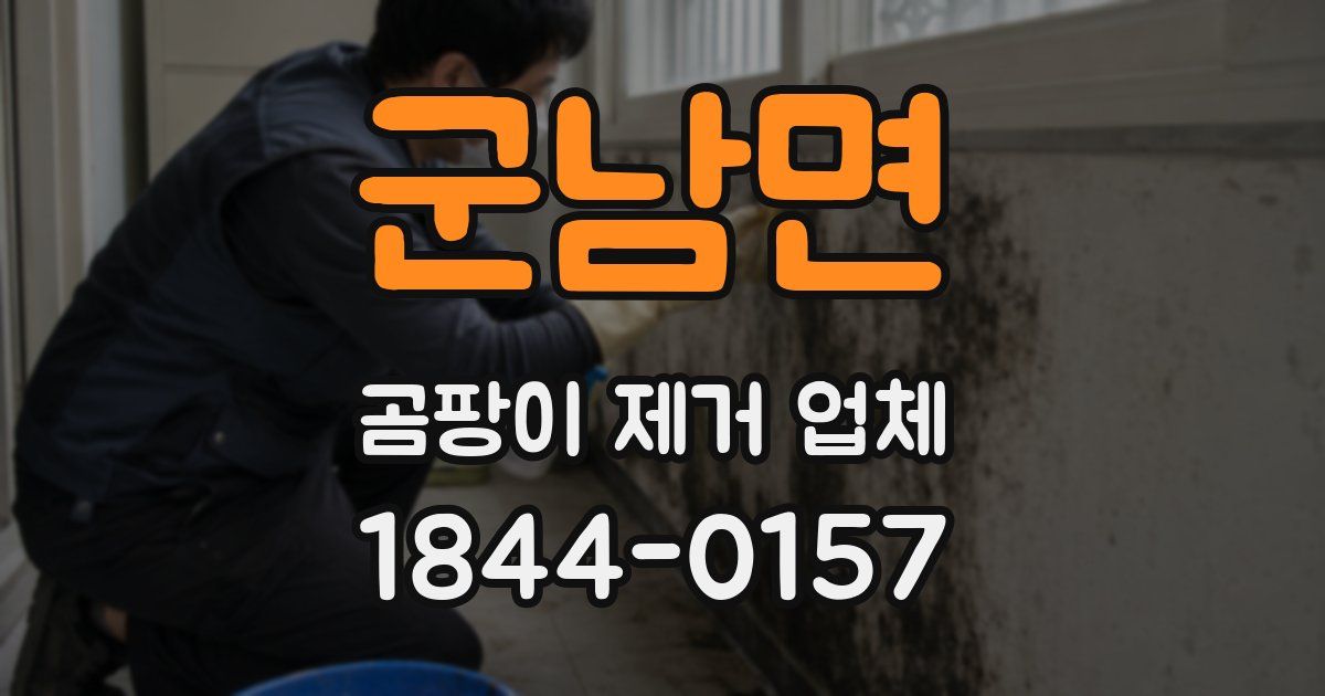 군남면 곰팡이 제거 업체