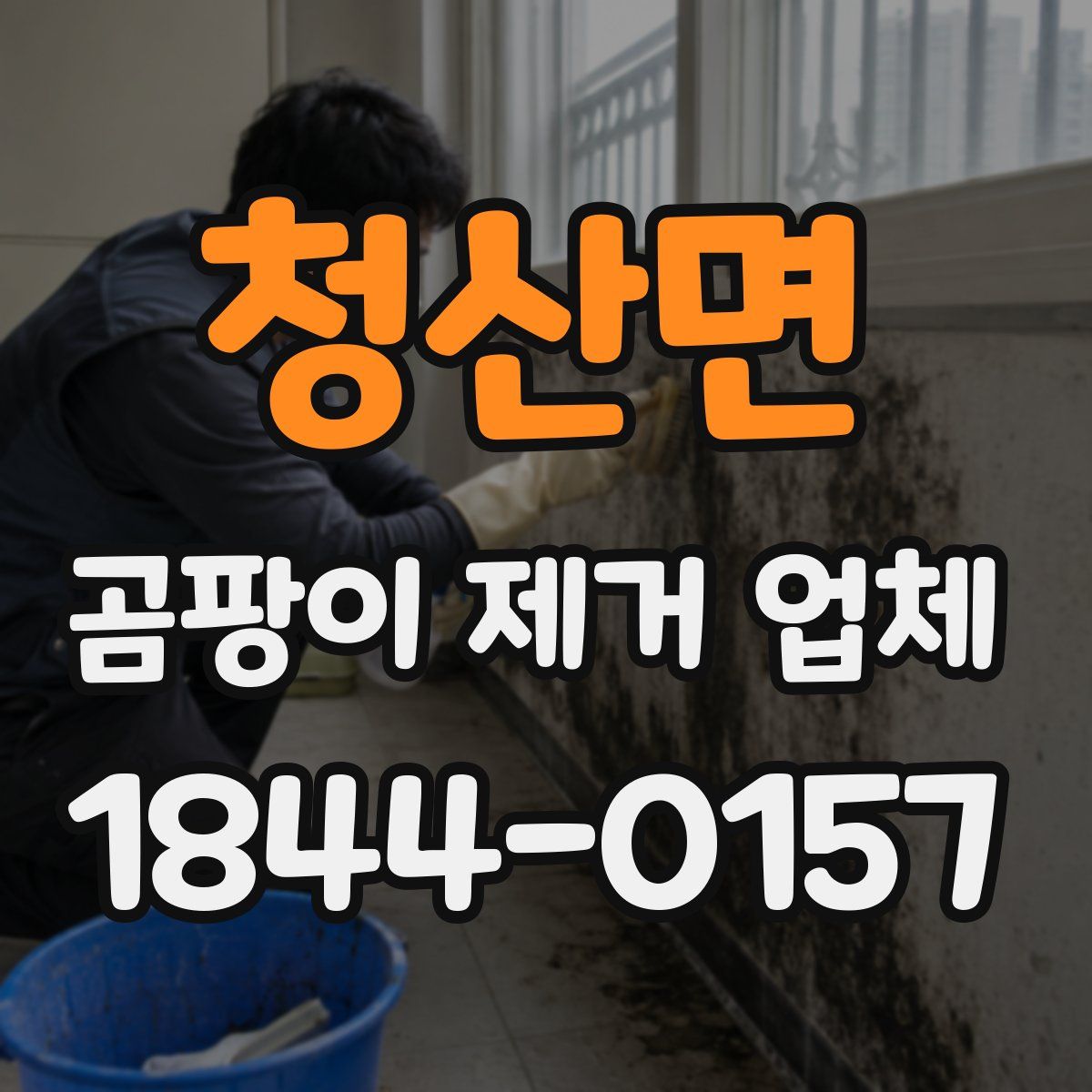 청산면 곰팡이 제거 업체