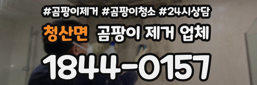 청산면 곰팡이 제거 업체