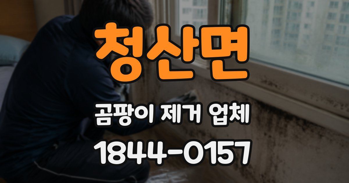 청산면 곰팡이 제거 업체