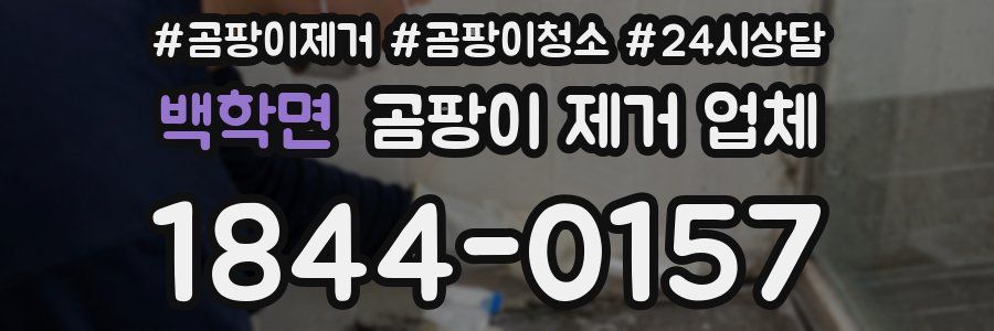 백학면 곰팡이 제거 업체