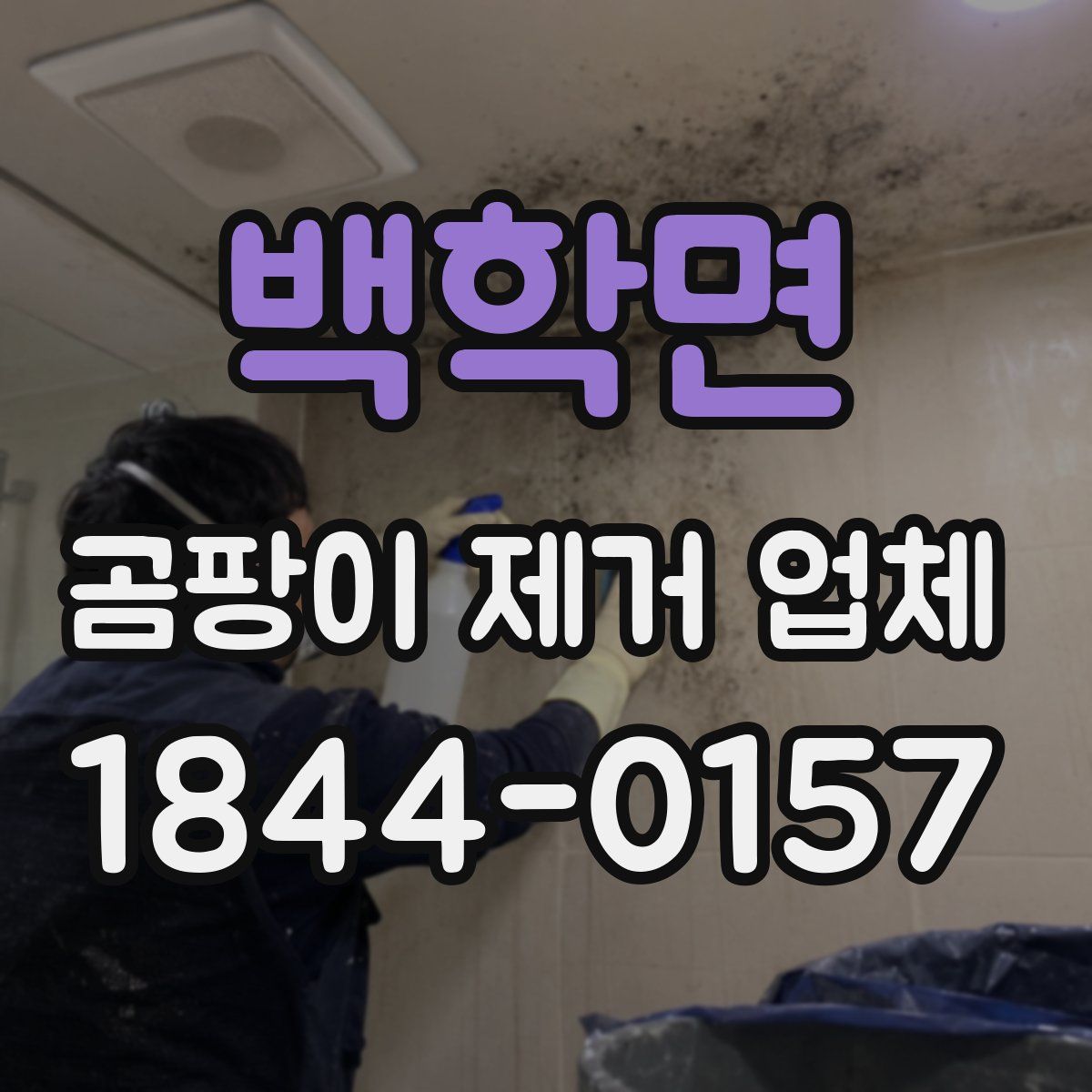 백학면 곰팡이 제거 업체