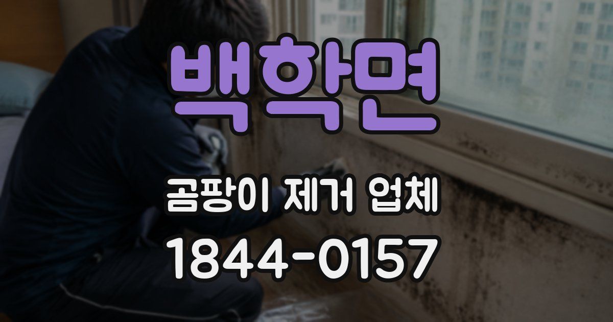 백학면 곰팡이 제거 업체