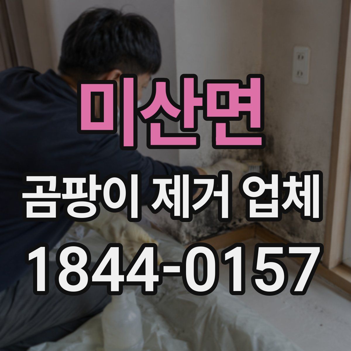 미산면 곰팡이 제거 업체