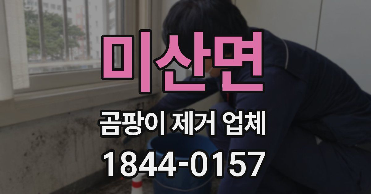 미산면 곰팡이 제거 업체