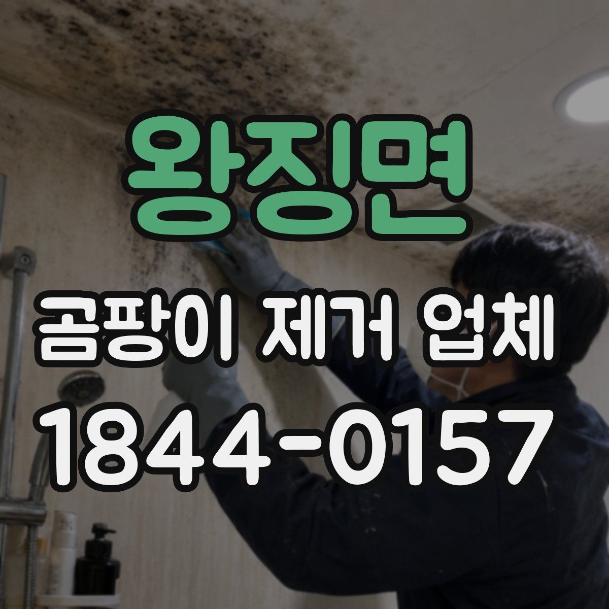 왕징면 곰팡이 제거 업체