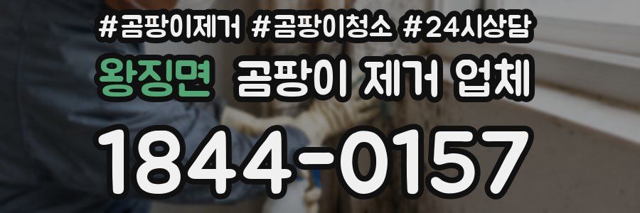 왕징면 곰팡이 제거 업체
