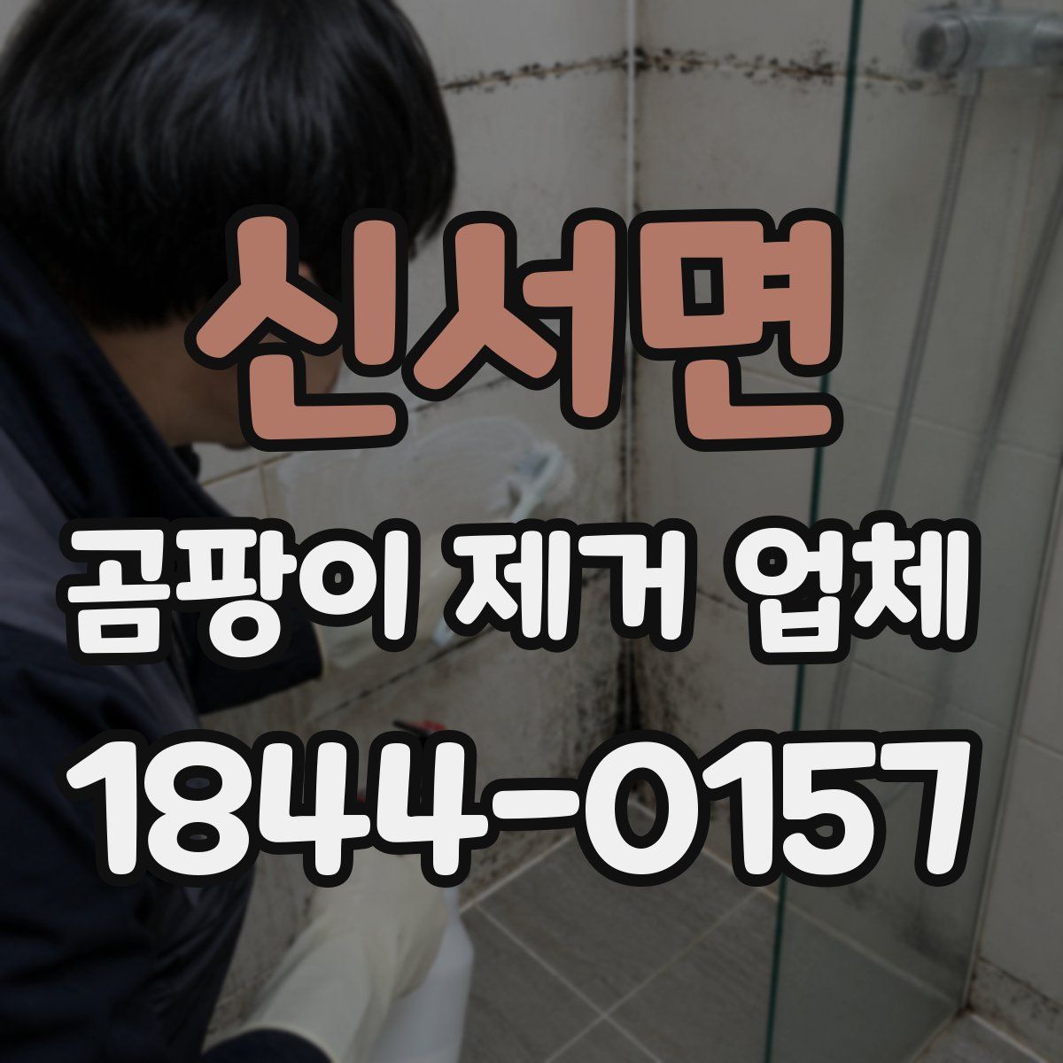 신서면 곰팡이 제거 업체