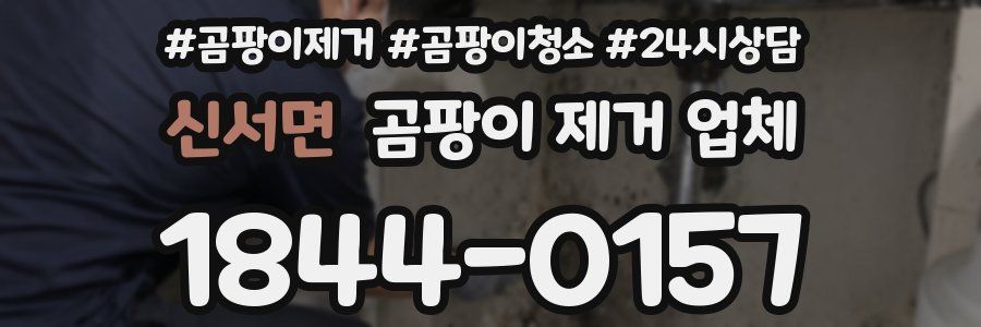 신서면 곰팡이 제거 업체