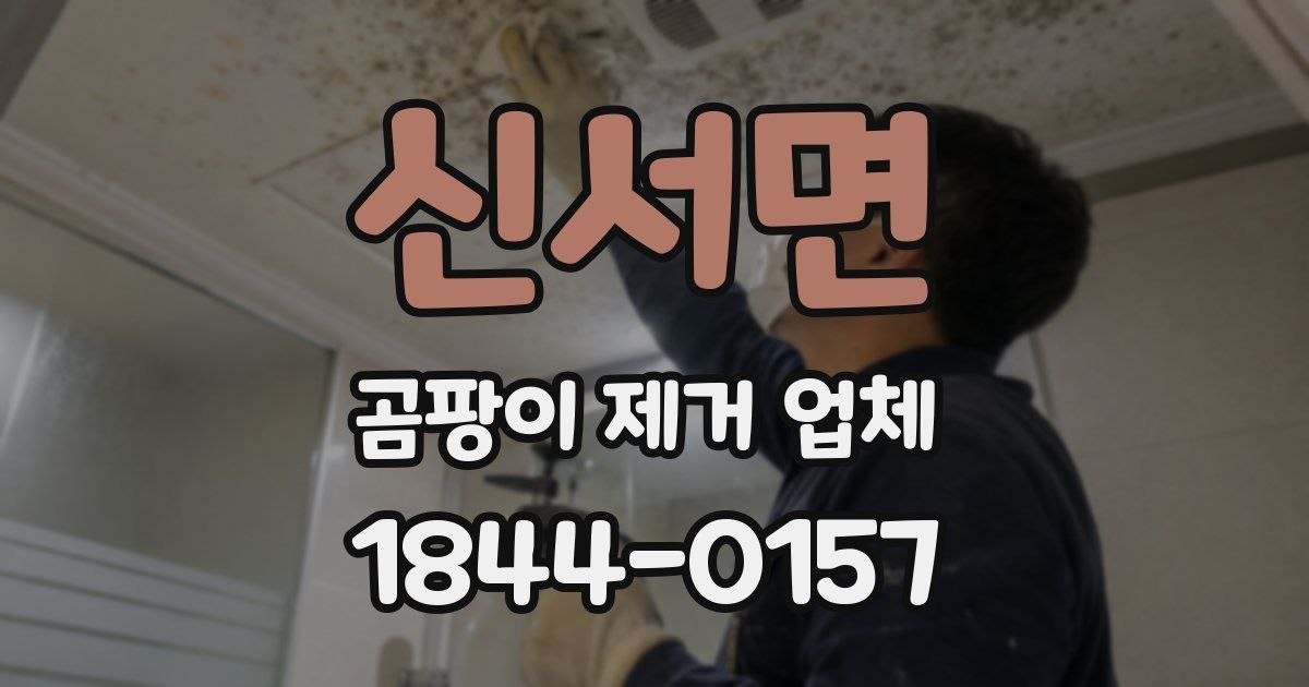 신서면 곰팡이 제거 업체