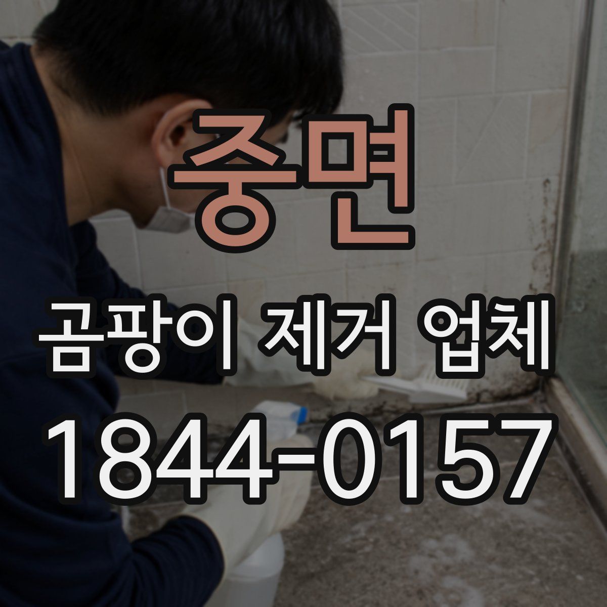 중면 곰팡이 제거 업체