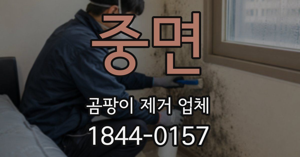 중면 곰팡이 제거 업체