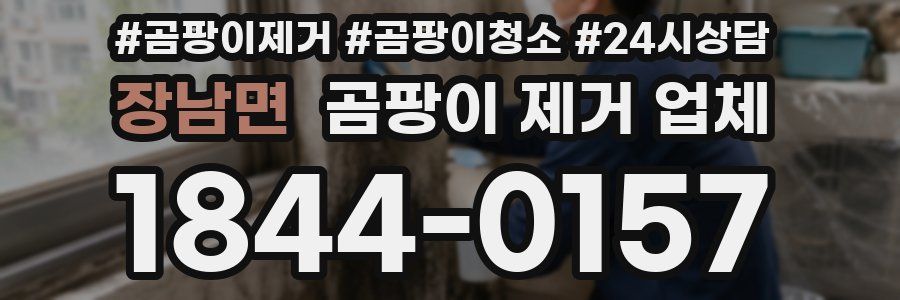 장남면 곰팡이 제거 업체