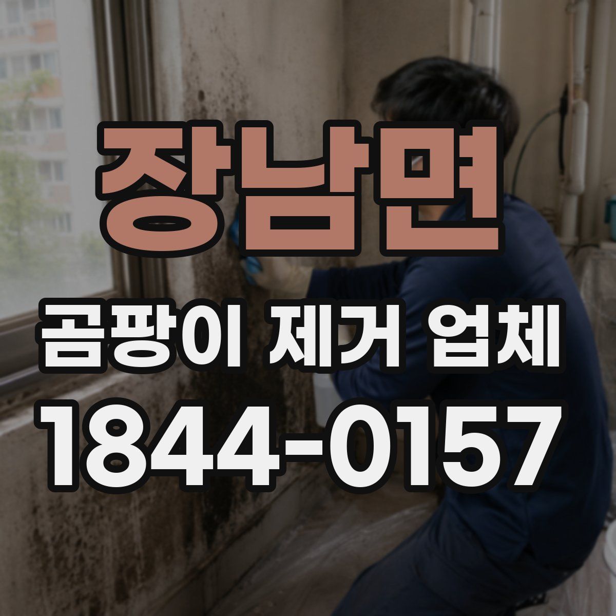 장남면 곰팡이 제거 업체