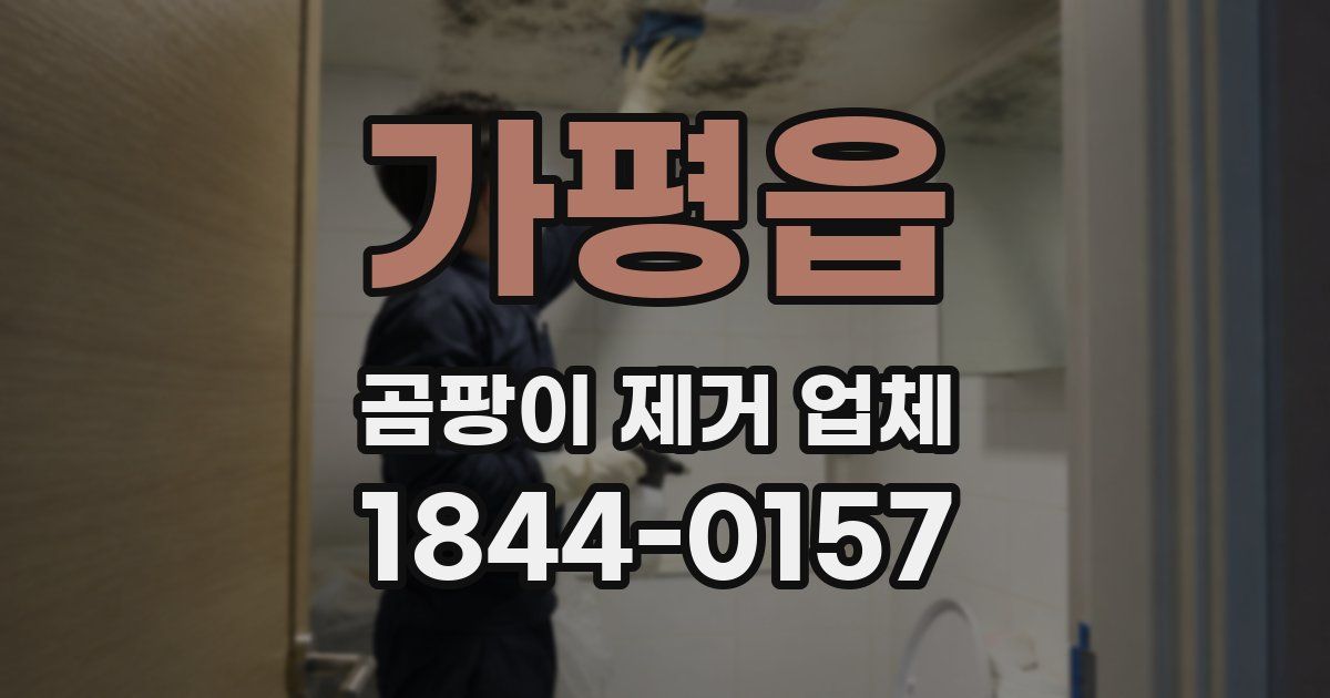 가평읍 곰팡이 제거 업체
