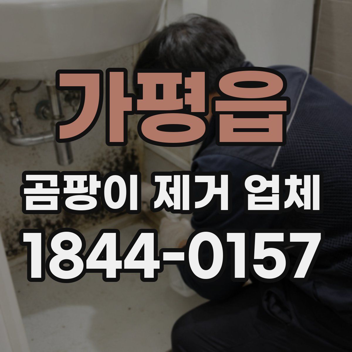 가평읍 곰팡이 제거 업체