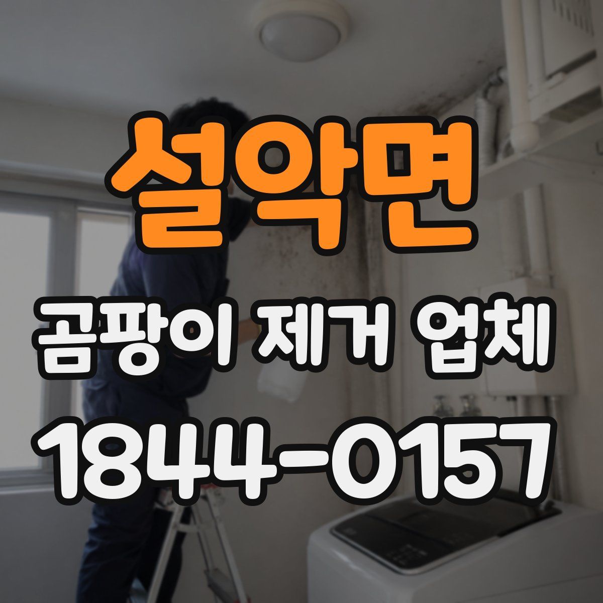 설악면 곰팡이 제거 업체