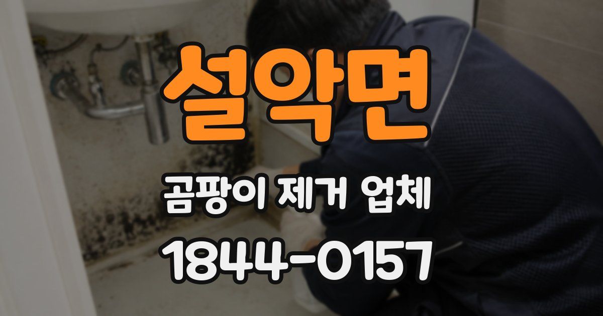 설악면 곰팡이 제거 업체