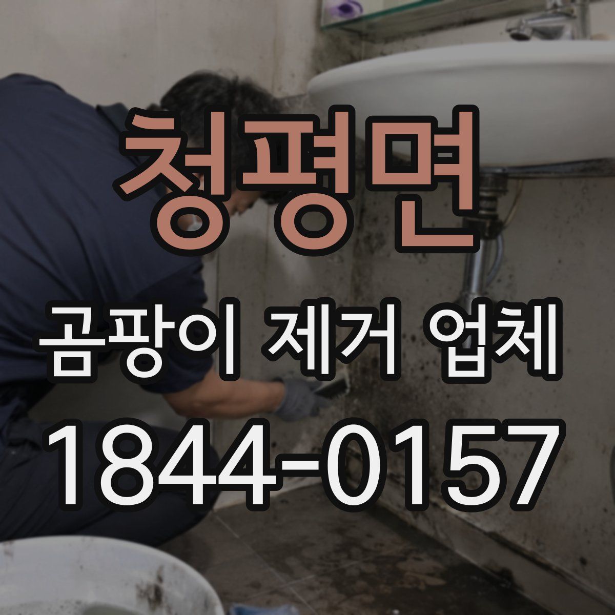 청평면 곰팡이 제거 업체