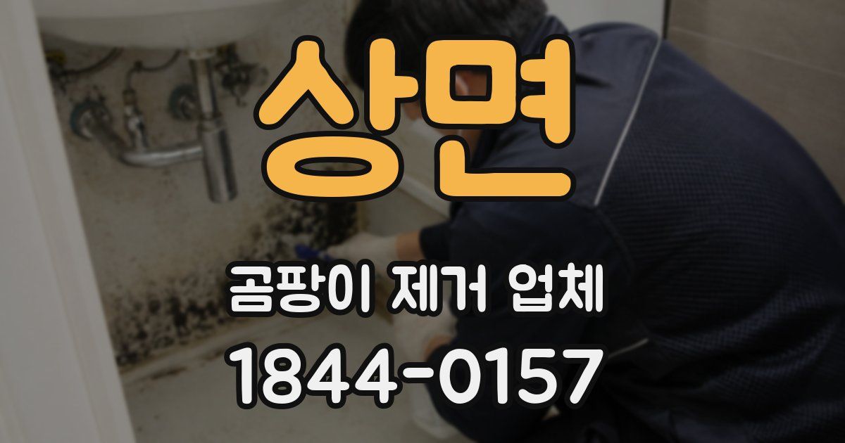 상면 곰팡이 제거 업체