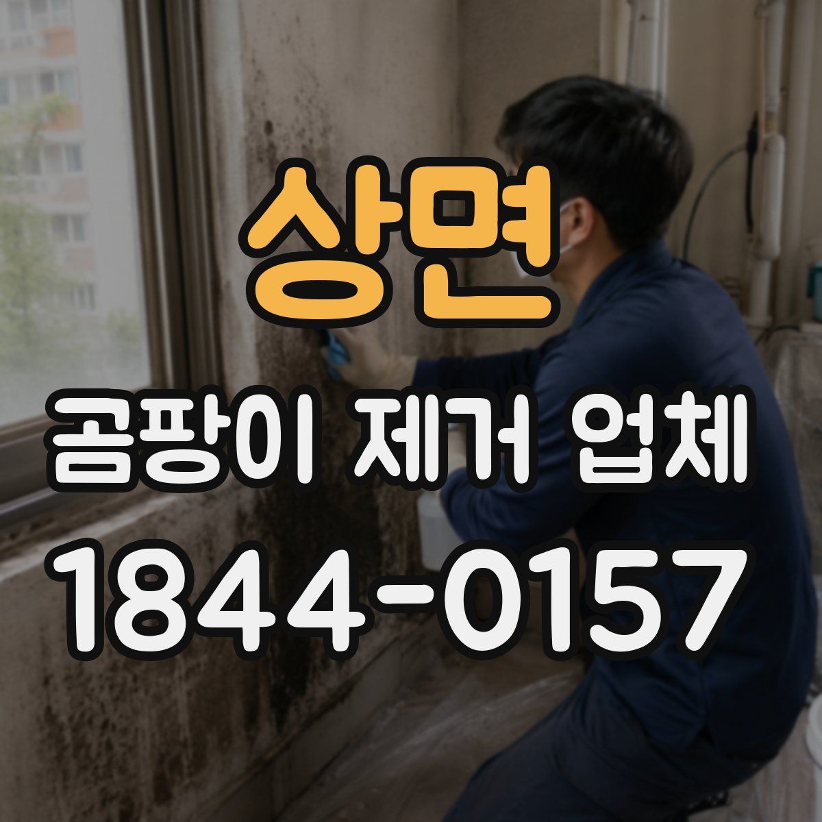 상면 곰팡이 제거 업체