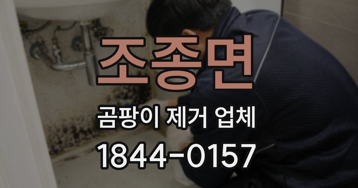 조종면 곰팡이 제거 업체