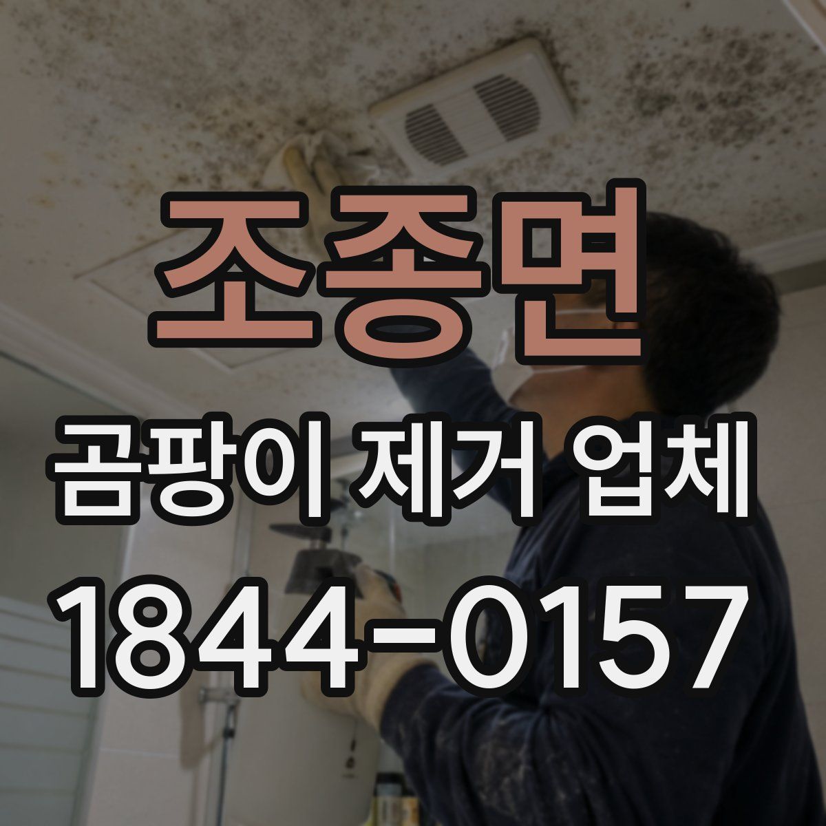 조종면 곰팡이 제거 업체