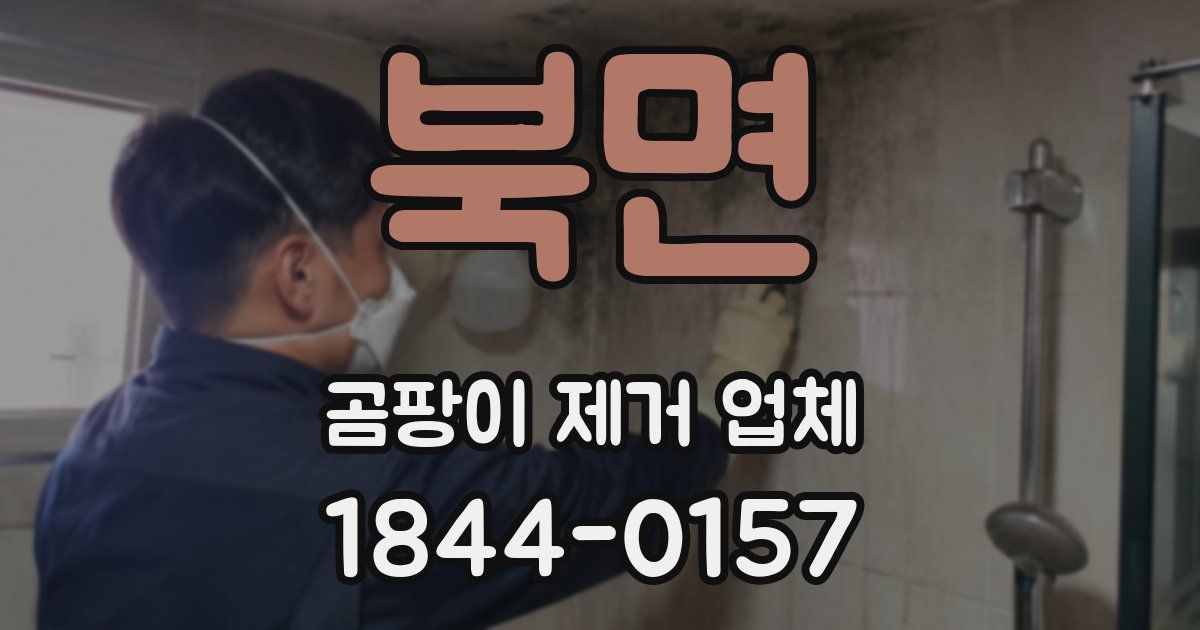 북면 곰팡이 제거 업체