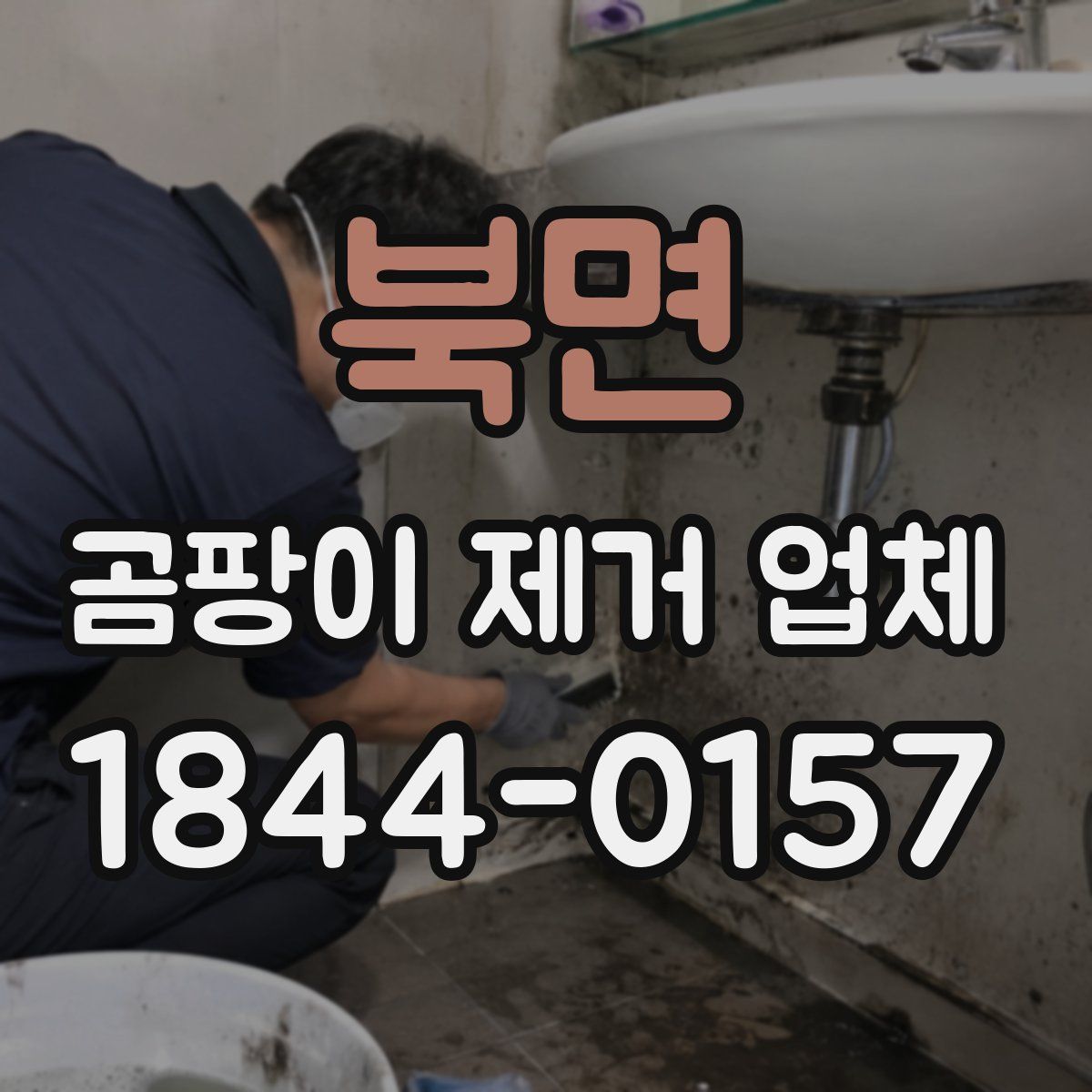 북면 곰팡이 제거 업체