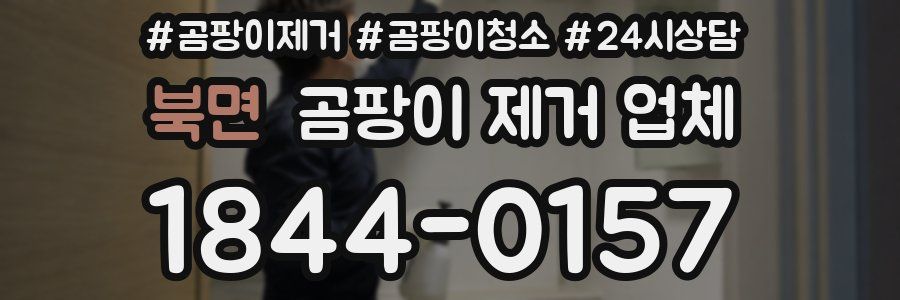 북면 곰팡이 제거 업체
