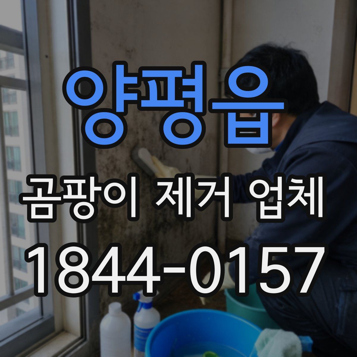 양평읍 곰팡이 제거 업체