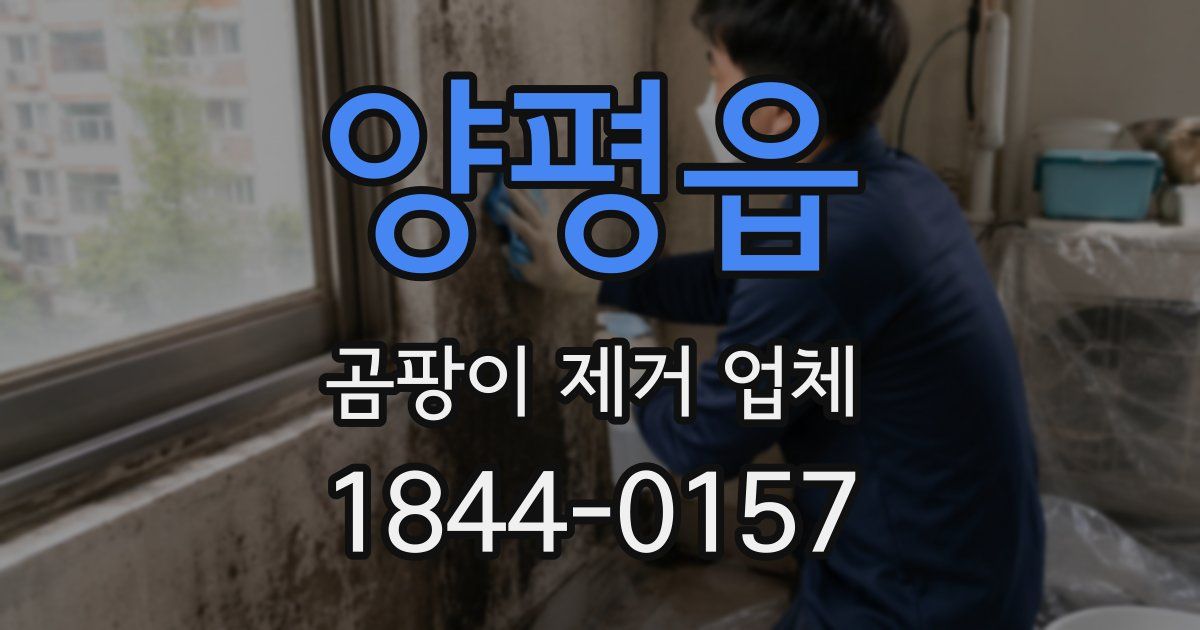 양평읍 곰팡이 제거 업체