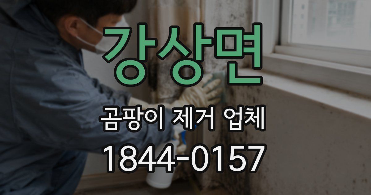 강상면 곰팡이 제거 업체