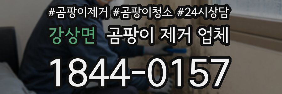 강상면 곰팡이 제거 업체