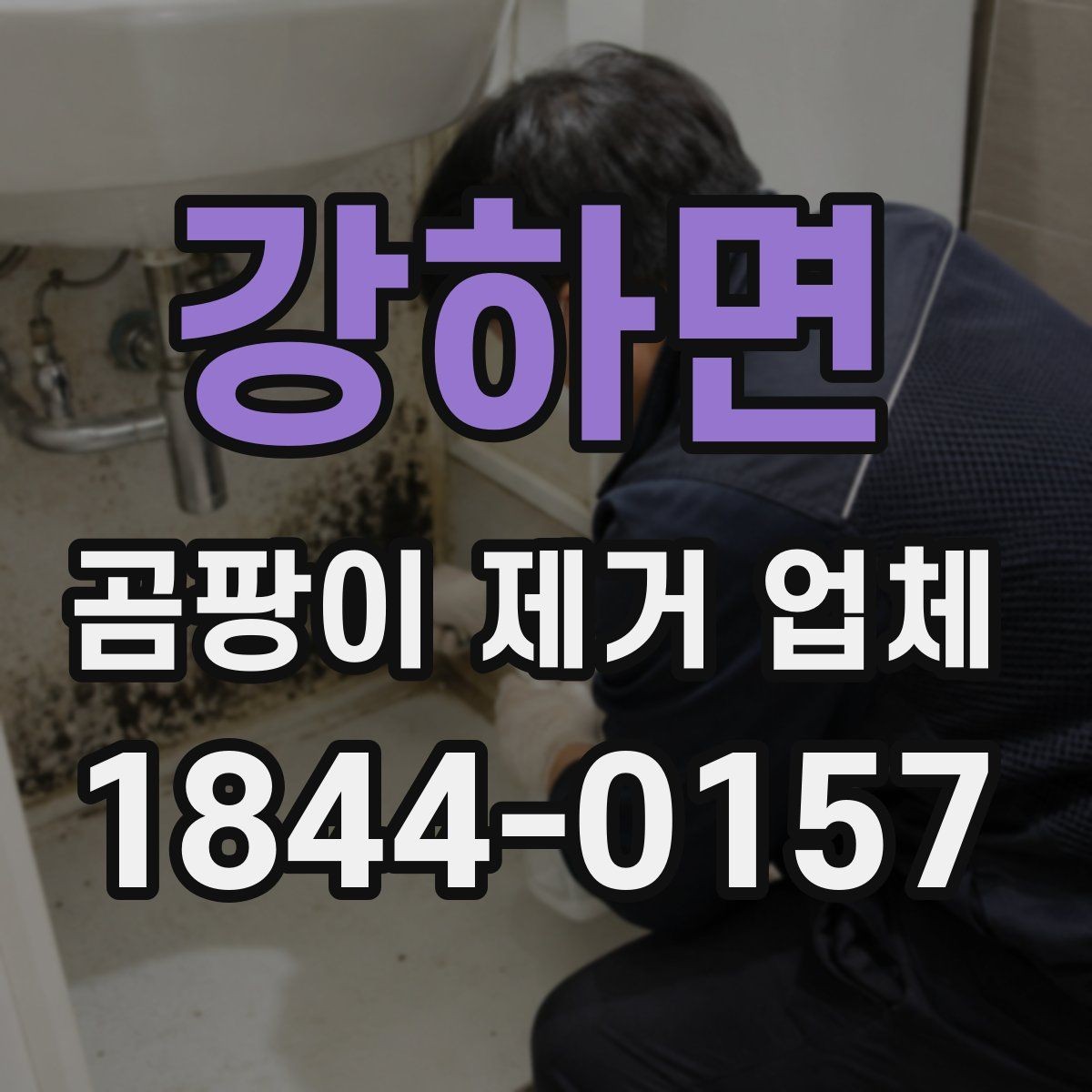 강하면 곰팡이 제거 업체 세입자와 집주인이 함께 확인할 점검 항목
