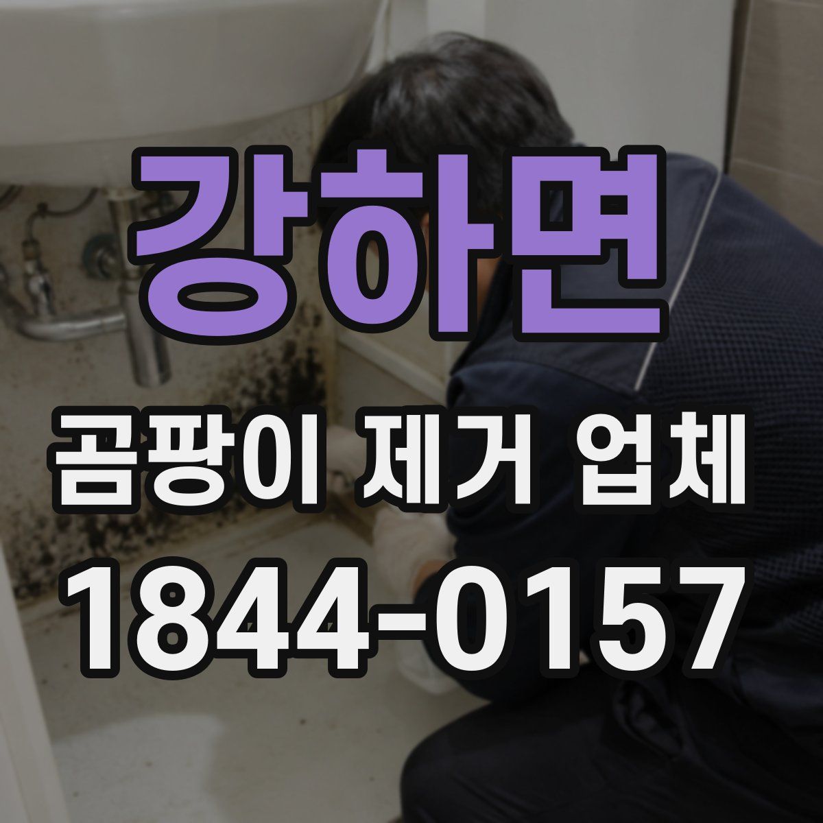 강하면 곰팡이 제거 업체