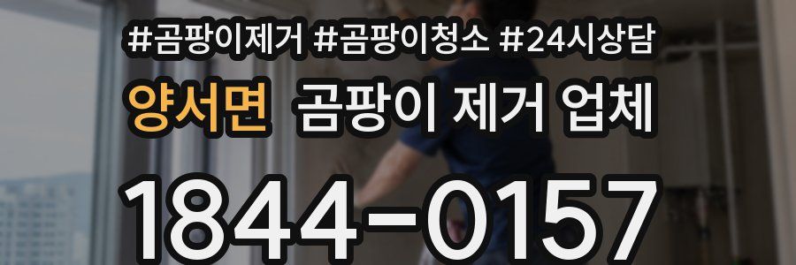 양서면 곰팡이 제거 업체