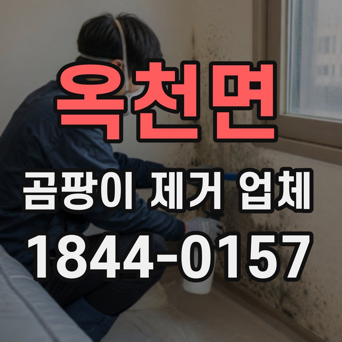 옥천면 곰팡이 제거 업체