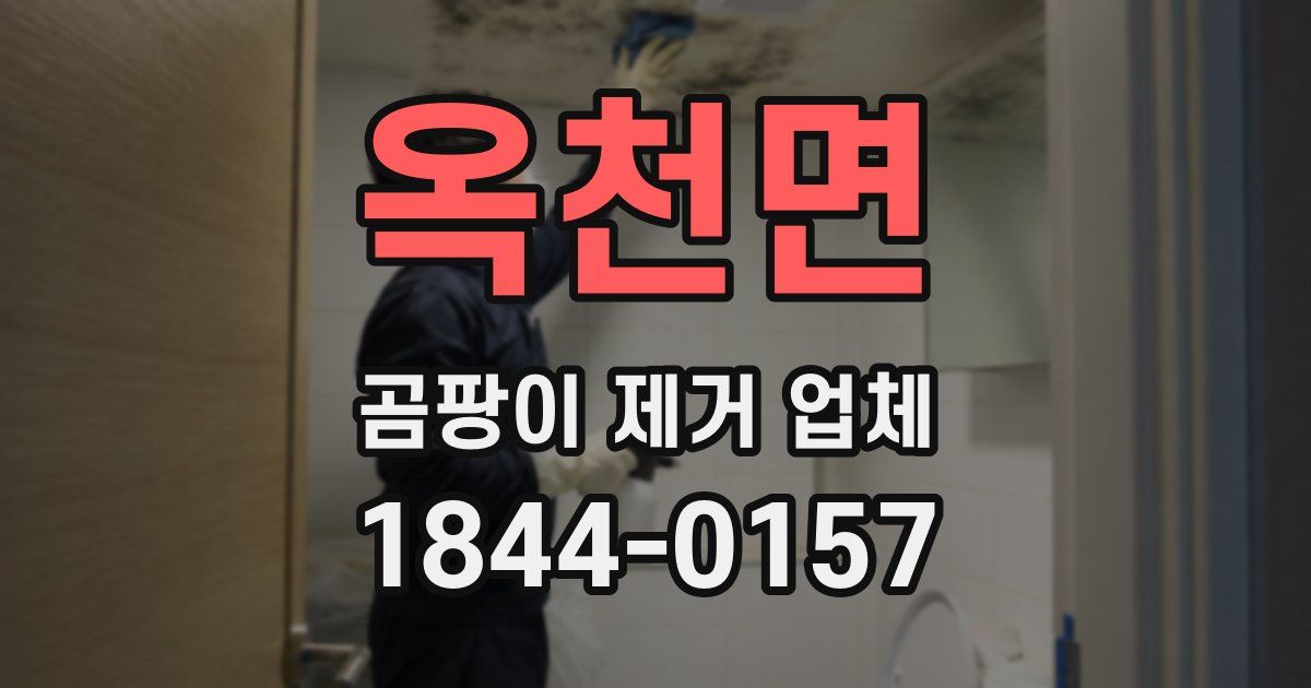 옥천면 곰팡이 제거 업체