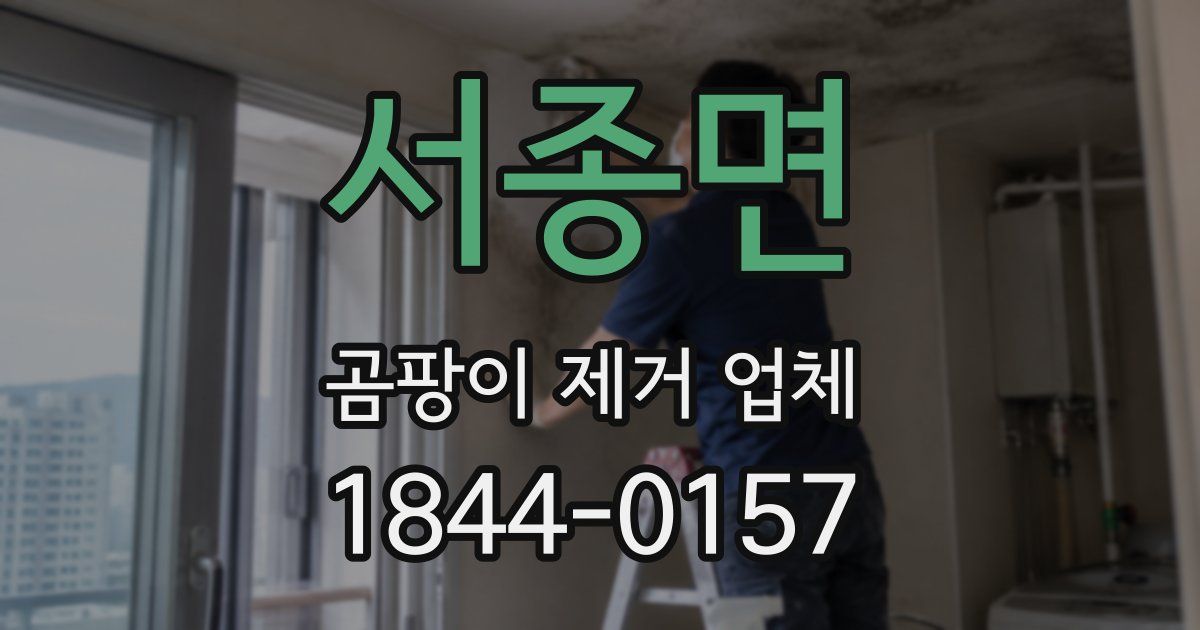 서종면 곰팡이 제거 업체