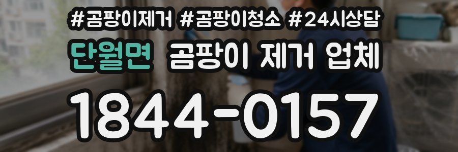 단월면 곰팡이 제거 업체