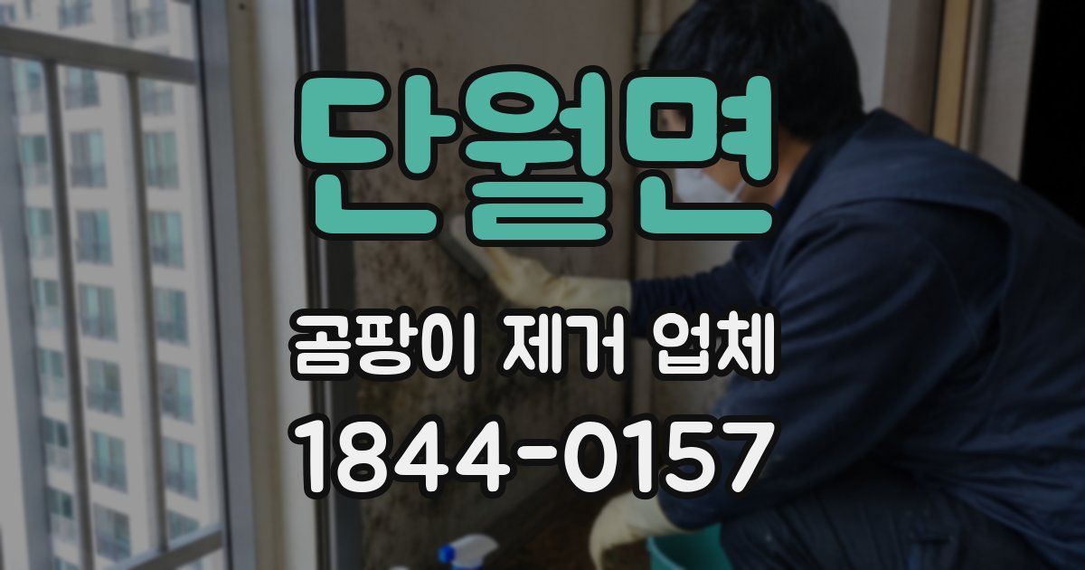 단월면 곰팡이 제거 업체