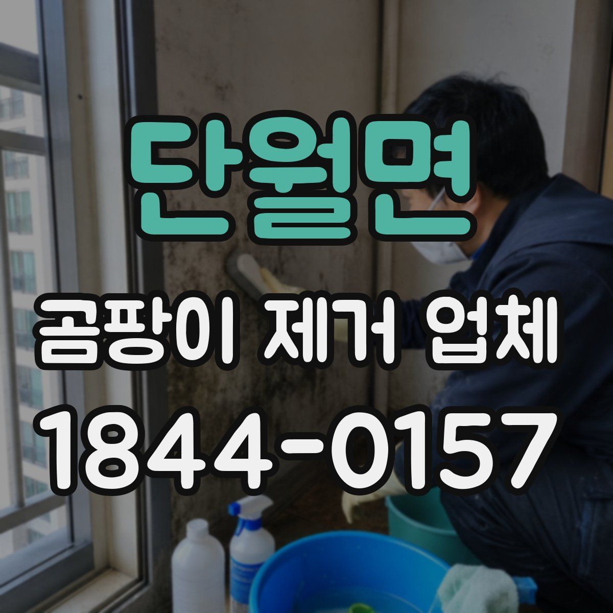 단월면 곰팡이 제거 업체