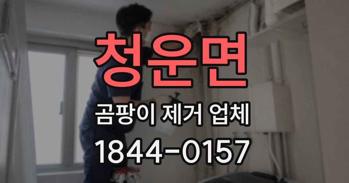 청운면 곰팡이 제거 업체