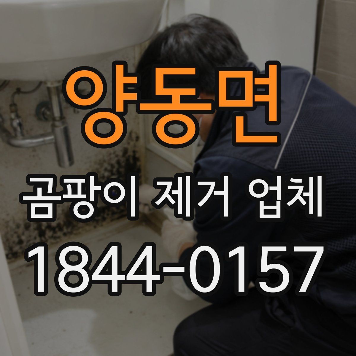 양동면 곰팡이 제거 업체 시공 후 유지관리 요령과 환기 기준