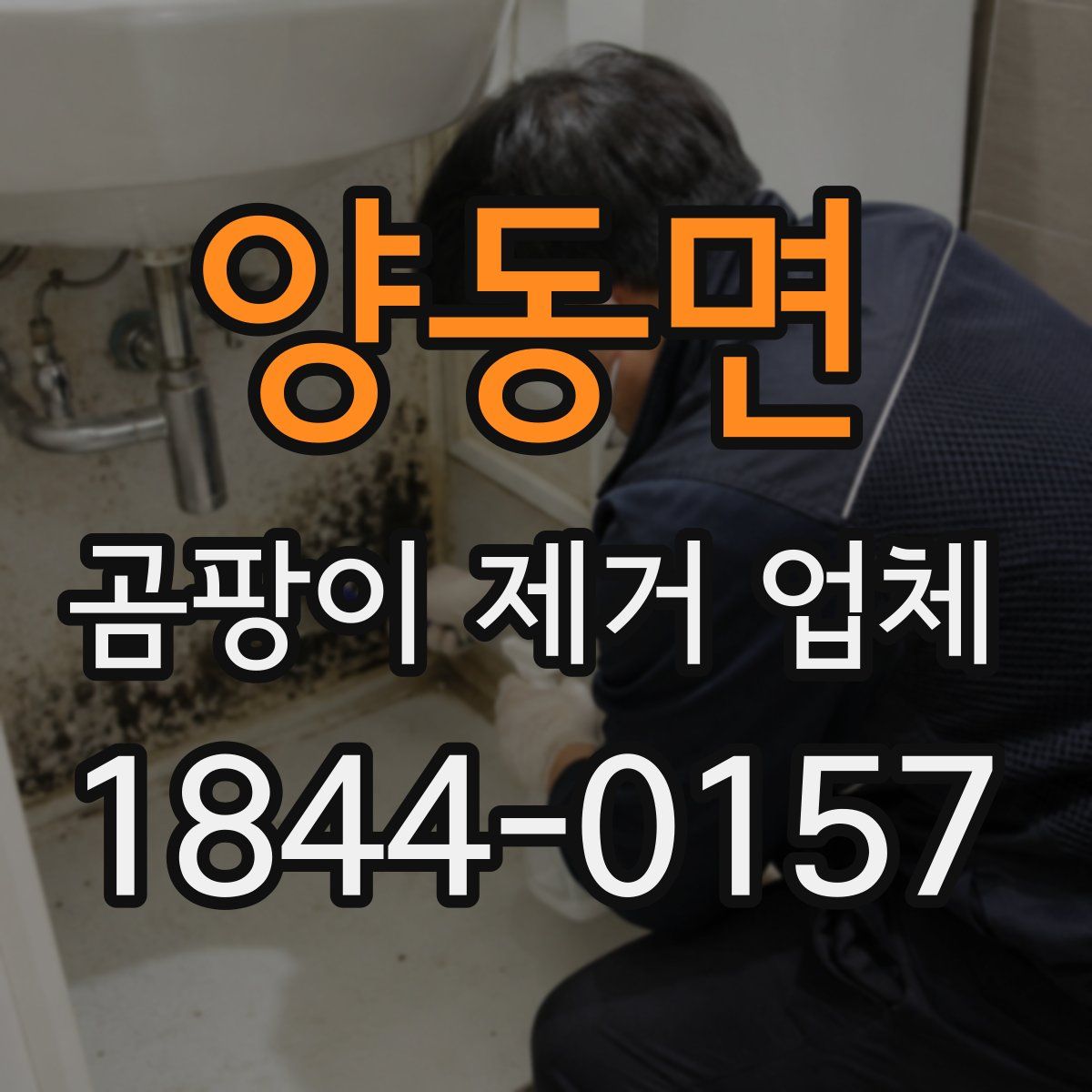 양동면 곰팡이 제거 업체
