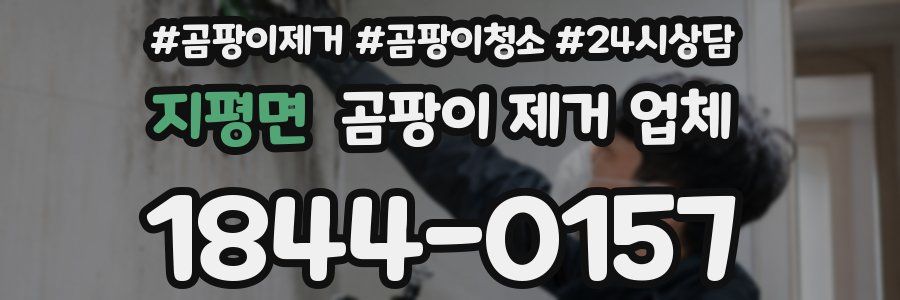 지평면 곰팡이 제거 업체