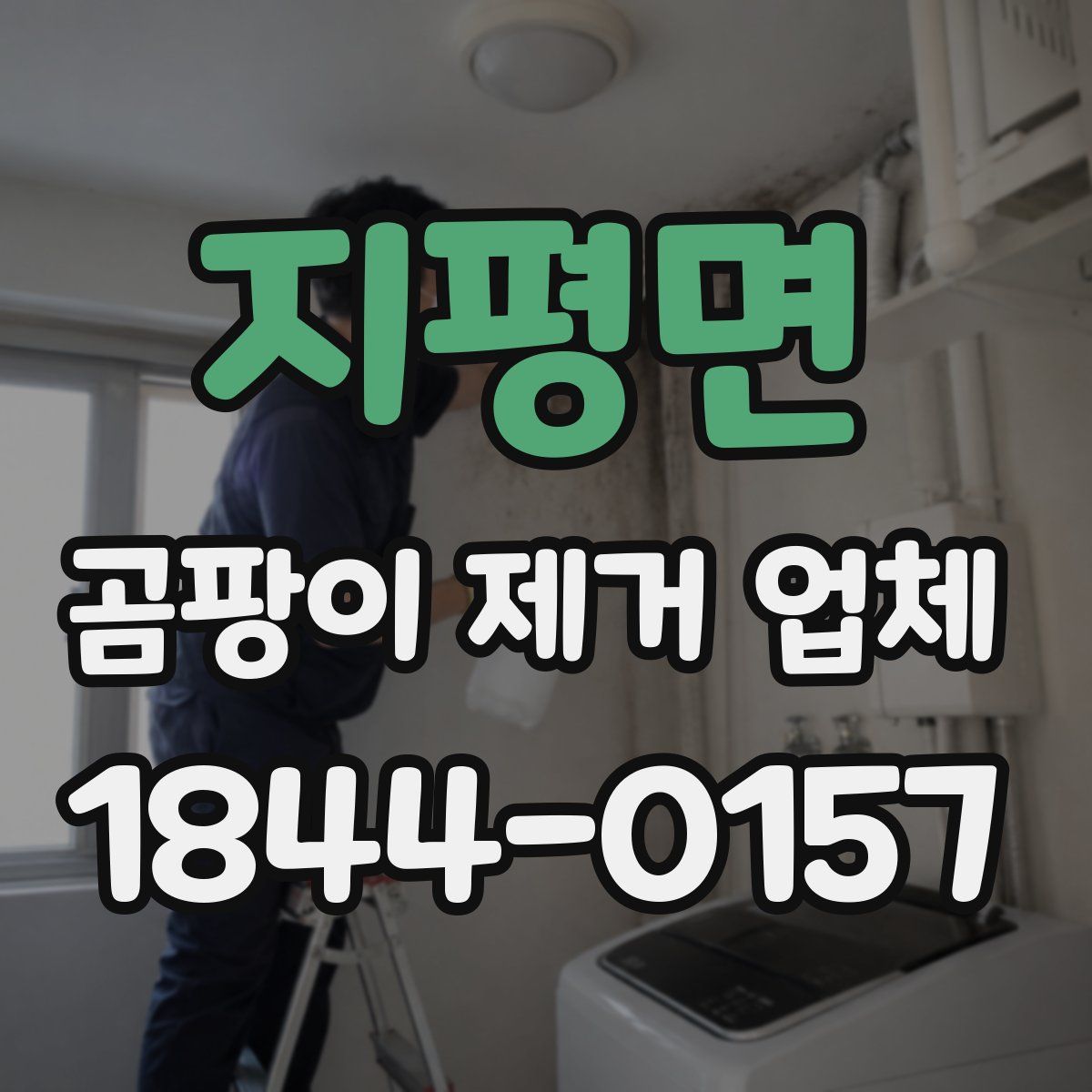 지평면 곰팡이 제거 업체
