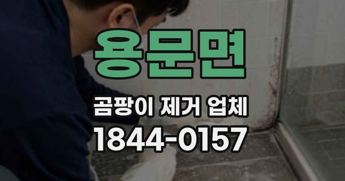 용문면 곰팡이 제거 업체
